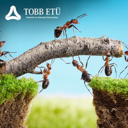 Takım Çalışması Eğitimi